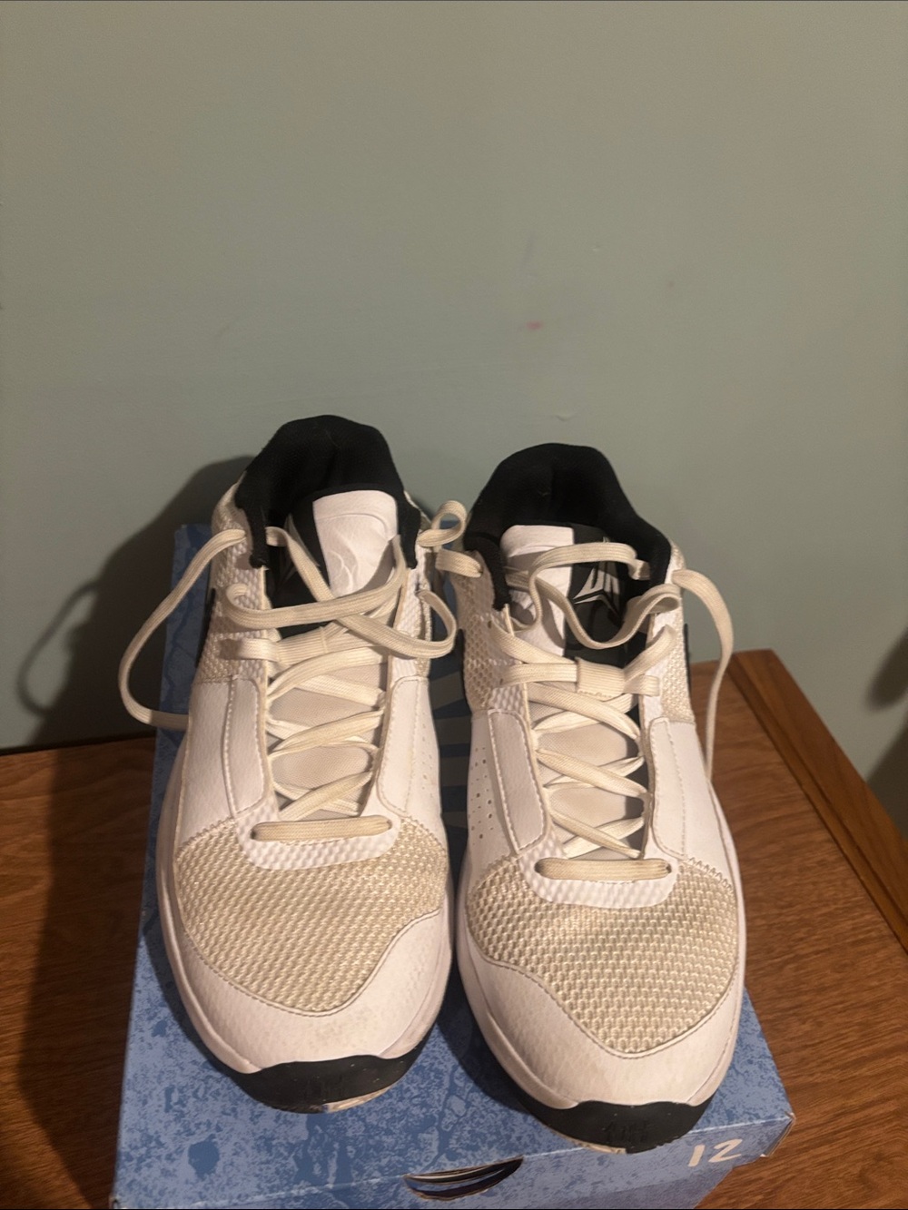 Nike Men's White and Black Low-Top Sneakers